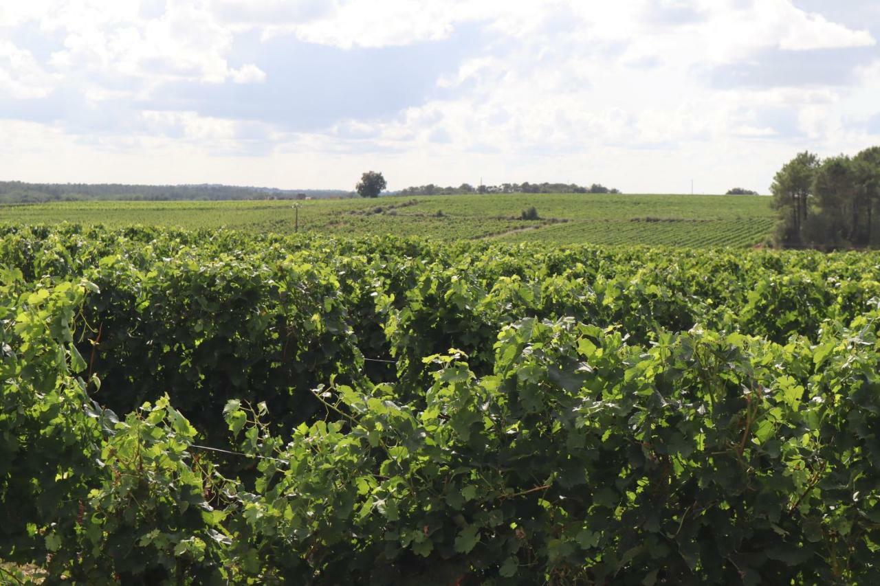 Domaine Des Tilleuls Val-de-Livenne Exteriör bild